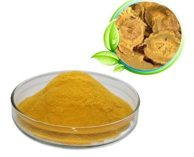 20210730160050582f1290f5bd4c05a5ab1b3616598769-2