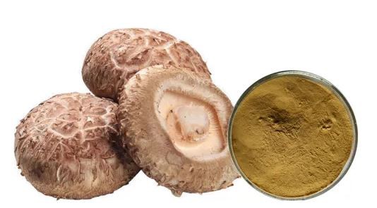 20210730163104d3cfce3359f64392a43cc9abc99da637