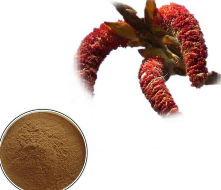 2021080516510593b3c6562c7a4d16865a46406c797e05 2021080516510593b3c6562c7a4d16865a46406c797e05