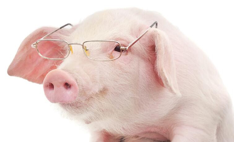 2021080911514042be063410b541dc9c61008847df5ae8-8 2021080911514042be063410b541dc9c61008847df5ae8-8