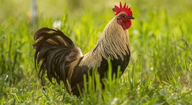 202108111351283992aa9e661e470caa4672b0c0399ab2-12 202108111351283992aa9e661e470caa4672b0c0399ab2-12