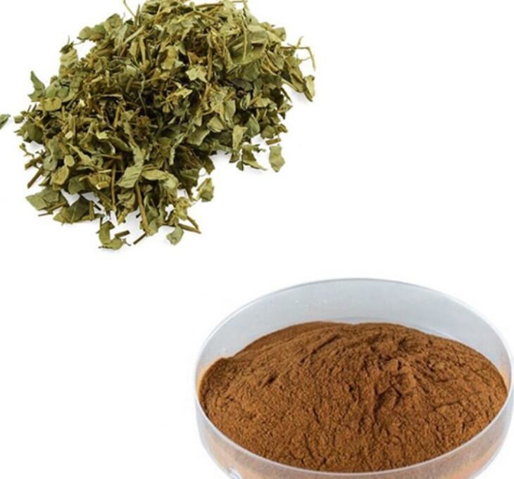 20210811144521b28f5665165f4f65809dbac24e853077 20210811144521b28f5665165f4f65809dbac24e853077