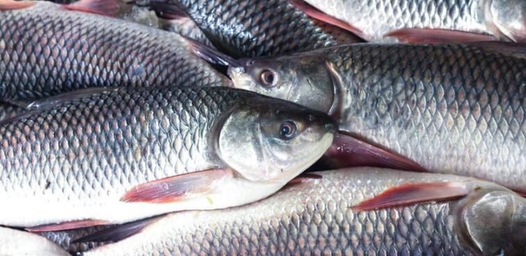 20210812114528bac9b9502a834a2a900bbfdee82de4ce-8