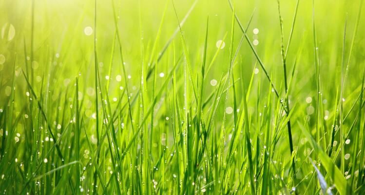 2021081215314888f95b065fe64b39b6f84ef1203fd041-16