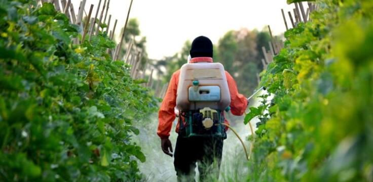 202109031540293d5eb603a4044f1f9b52f9333e4ec8bb 202109031540293d5eb603a4044f1f9b52f9333e4ec8bb