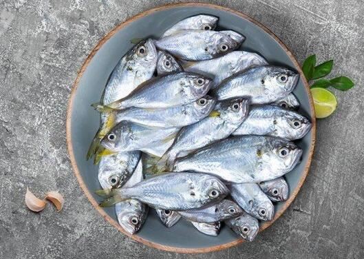 202110121608361df277673b9e4d42851649901a1fdd9b 202110121608361df277673b9e4d42851649901a1fdd9b