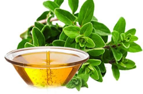 20211118152752399f6d6d676d48ae8cb374fef917556f 20211118152752399f6d6d676d48ae8cb374fef917556f