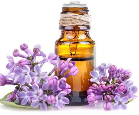 20211119164222534f7ae282f84cb18b1536e077a54af0 20211119164222534f7ae282f84cb18b1536e077a54af0