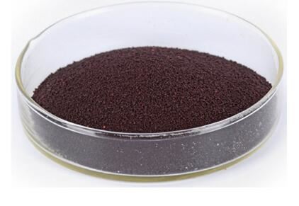 20211123145406c8ae2af4985b4d1894517b5b858d8a57 20211123145406c8ae2af4985b4d1894517b5b858d8a57