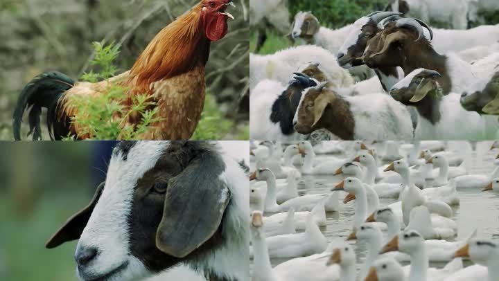 20211125162818bc659163760e4bedb0b1ffb8730b100c-1 20211125162818bc659163760e4bedb0b1ffb8730b100c-1