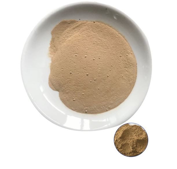 202201171231397bf59d34ad5f42d18a620655fbe26dcd 202201171231397bf59d34ad5f42d18a620655fbe26dcd