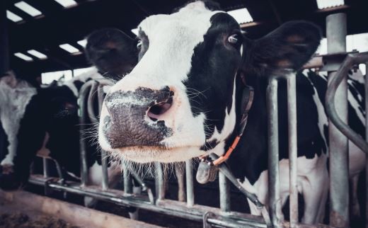 20220118112145cfb0d6ff3a2c4a63884a41c9402189fd-3 20220118112145cfb0d6ff3a2c4a63884a41c9402189fd-3