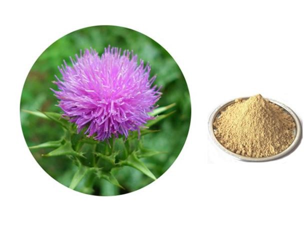 20220121110941025b48ad601945f099fa667e16e16a83 20220121110941025b48ad601945f099fa667e16e16a83