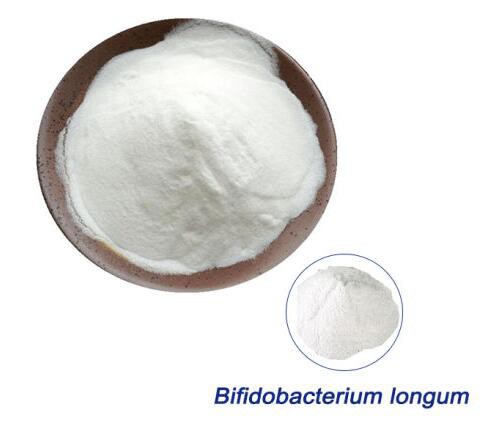 202202141520576d9afd53d1a54b3cb4a569a05ee8298f 202202141520576d9afd53d1a54b3cb4a569a05ee8298f