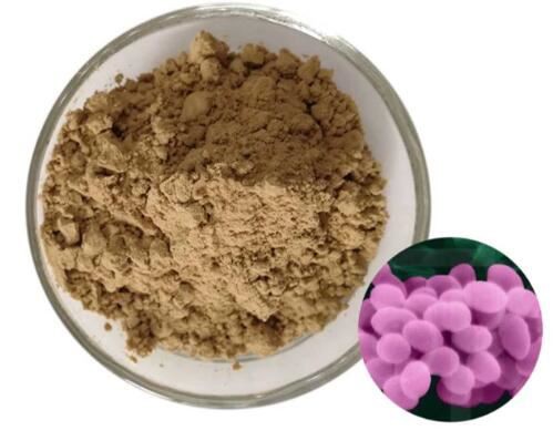 20220224155621152ae5332fe348049e686e8482c44070 20220224155621152ae5332fe348049e686e8482c44070