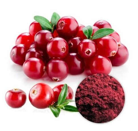 20220329152016a60d3ec96ac348f88ea466f35d781eb5 20220329152016a60d3ec96ac348f88ea466f35d781eb5