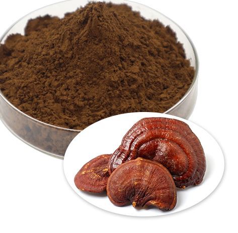 202204121104084f77b8a3731c414bbb5a698ec435049a 202204121104084f77b8a3731c414bbb5a698ec435049a