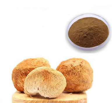 20220414121232411018f356ea431ca96462538e1d09e6 20220414121232411018f356ea431ca96462538e1d09e6