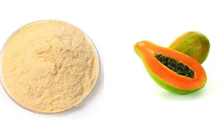 20220509155714ce2f7d4eabfe419ba4b1cbb693b9acf7-2 20220509155714ce2f7d4eabfe419ba4b1cbb693b9acf7-2