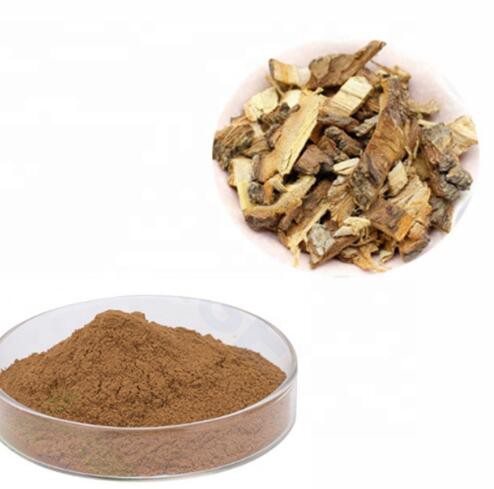 20220519135853dda90e304290421ab6938ec7bcdfc3c1-1 20220519135853dda90e304290421ab6938ec7bcdfc3c1-1