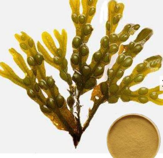 2022052013461305449786d18045a4895702d28d76221d