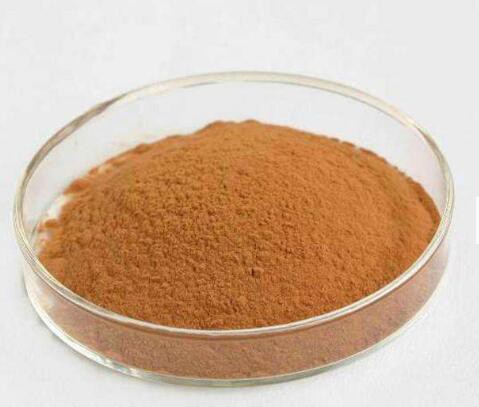 202205251337112187e212fef34a6ca5cf2ecc41ce7559-1 202205251337112187e212fef34a6ca5cf2ecc41ce7559-1