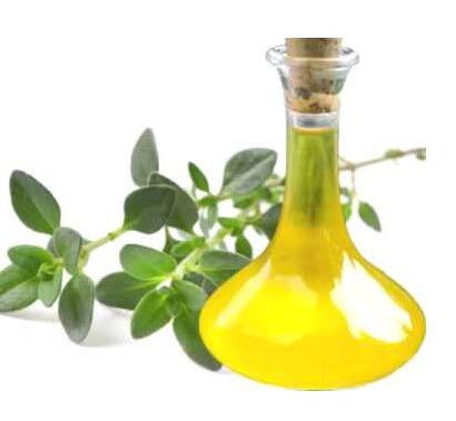 202206231206589ae3e129094c49afa2206a603fac27da 202206231206589ae3e129094c49afa2206a603fac27da