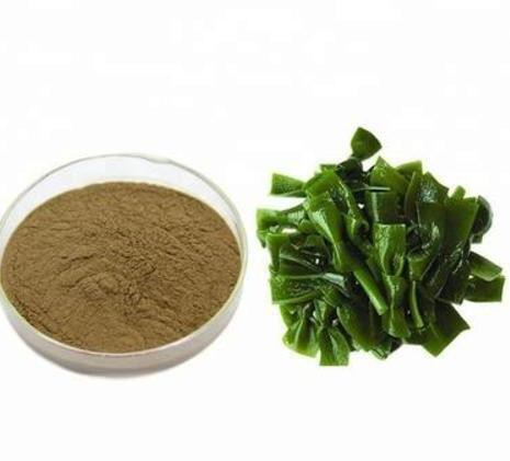 20220711134607e86ab22041e849298c08693cd8efb10c 20220711134607e86ab22041e849298c08693cd8efb10c