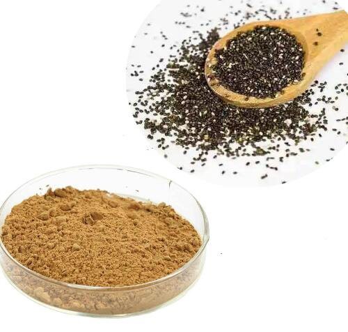 2022081015011072d41016dac2463e80f489a772046324 2022081015011072d41016dac2463e80f489a772046324