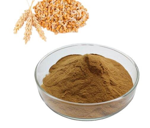 20220913134338a768b705269e436ba7cc00bcbfd10f44-2