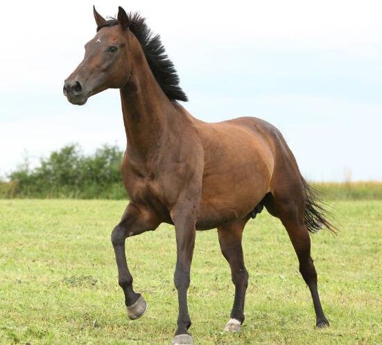 202211181121070c26e31a744a4b2988d418c0f27d5b17-2 202211181121070c26e31a744a4b2988d418c0f27d5b17-2