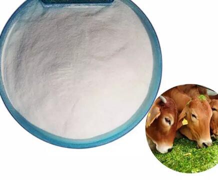 202301031452044be639f0971846e8848af67939f22ee1 202301031452044be639f0971846e8848af67939f22ee1