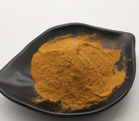 202302061400176719eeed742048818c944002b4959865 202302061400176719eeed742048818c944002b4959865