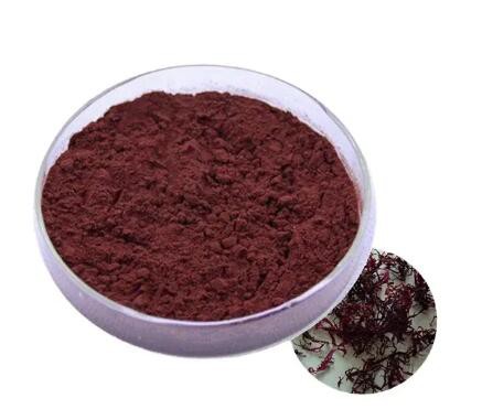 202303231543021a02ba4ff0fe4b47be1328c5626d2301 202303231543021a02ba4ff0fe4b47be1328c5626d2301