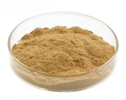 202304271426125898018180cc4cfa84d9d568ae86bfc6-1 202304271426125898018180cc4cfa84d9d568ae86bfc6-1