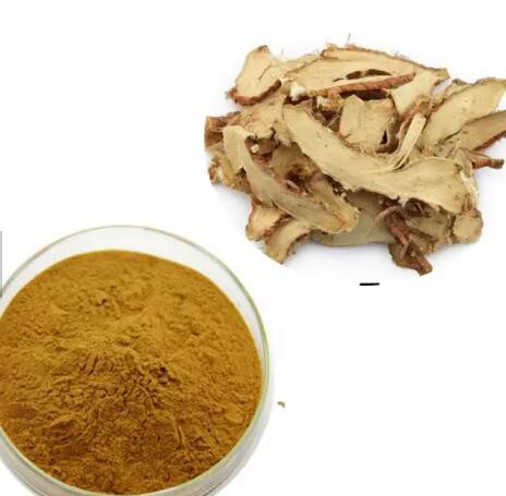 2023050911315741d0825649544021a620d3275eecc7fe 2023050911315741d0825649544021a620d3275eecc7fe