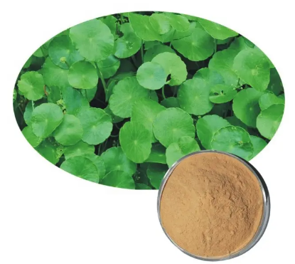 2023051513335631b4f53f5cd240378423c6ea7054d631 2023051513335631b4f53f5cd240378423c6ea7054d631