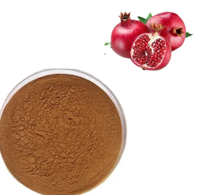 202305301458059d79edeb8dd04e3c9c6e363bdf53019c