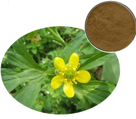 20230607144541402dd9c0ab6c4aa6ab272dea71b640a5-1 20230607144541402dd9c0ab6c4aa6ab272dea71b640a5-1