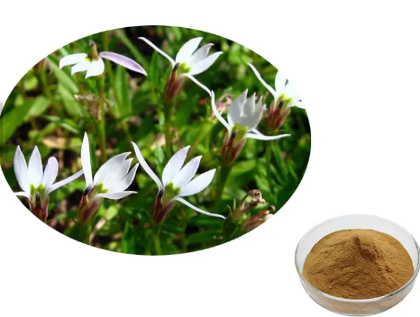 20230612151901f88e123543f64763940e2d189e1a7cf0