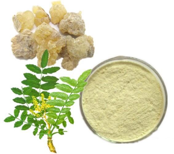 boswellia-standardized-extract48158603426 Boswellia Standardized Extract48158603426