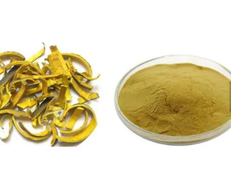 phellodendron-amurense-bark-extract00e94db1-ef8e-4faa-bdb5-ce0ecf19c8b2 Phellodendron Amurense Bark Extract00e94db1 Ef8e 4faa Bdb5 Ce0ecf19c8b2