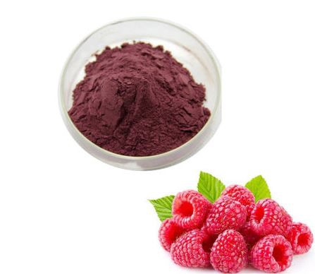 Red Raspberry Extract31331492395