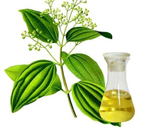 cinnamaldehyde-essential-oil53393412059 Cinnamaldehyde Essential Oil53393412059