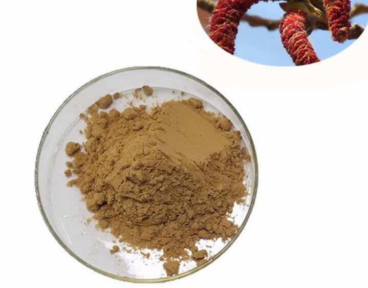 poplar-flower-extract51184688000 Poplar Flower Extract51184688000