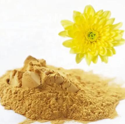 chrysanthemum-morifolium-extract7c7ea8b2-de6c-40fb-8f00-aa9322d0ed38 Chrysanthemum Morifolium Extract7c7ea8b2 De6c 40fb 8f00 Aa9322d0ed38