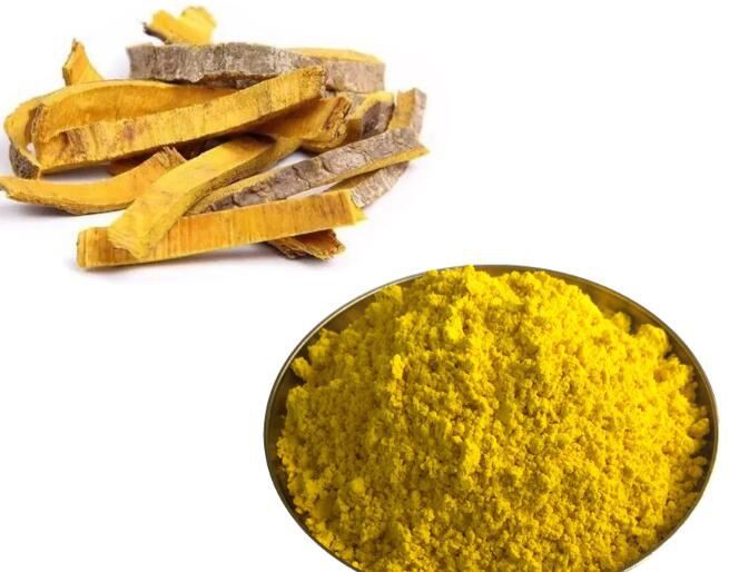 phellodendron-extract06306511186 Phellodendron Extract06306511186