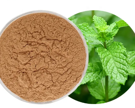 pure-peppermint-extracta1c09839-badf-4132-a5fd-be20c2ef6f4e Pure Peppermint Extracta1c09839 Badf 4132 A5fd Be20c2ef6f4e