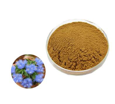 ecdysoneeba10738-690d-411a-a5de-5dc405d6a0d7 Ecdysoneeba10738 690d 411a A5de 5dc405d6a0d7