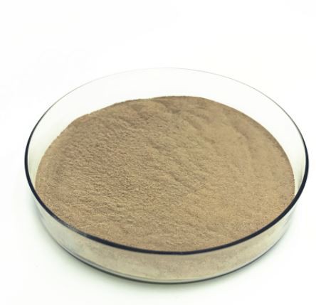 dried-aspergillus-niger-fermentation-extract21069474721 Dried Aspergillus Niger Fermentation Extract21069474721